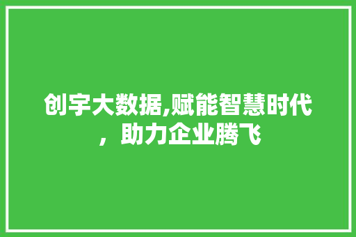 创宇大数据,赋能智慧时代，助力企业腾飞 百度SEO