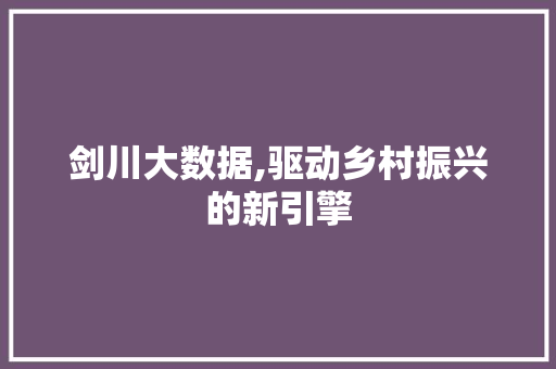 剑川大数据,驱动乡村振兴的新引擎 神马SEO