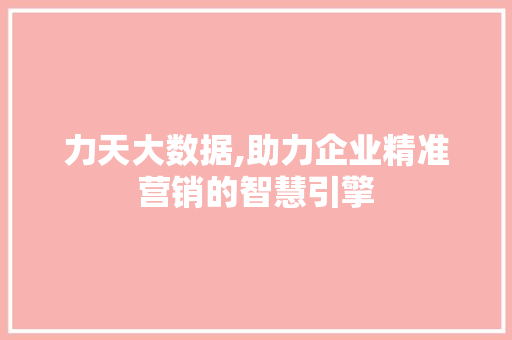 力天大数据,助力企业精准营销的智慧引擎 百度SEO