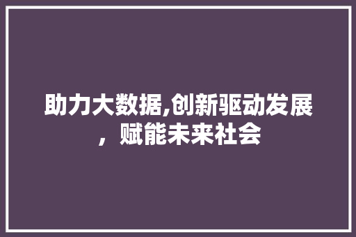 助力大数据,创新驱动发展，赋能未来社会 百度SEO