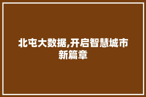 北屯大数据,开启智慧城市新篇章 百度SEO