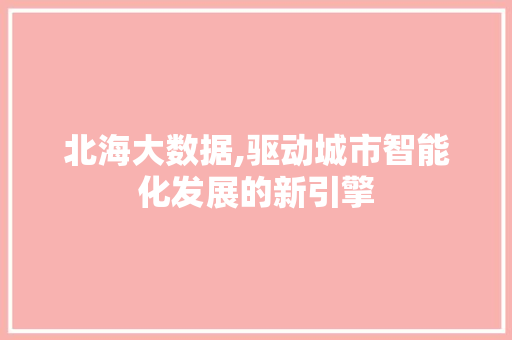 北海大数据,驱动城市智能化发展的新引擎 百度SEO