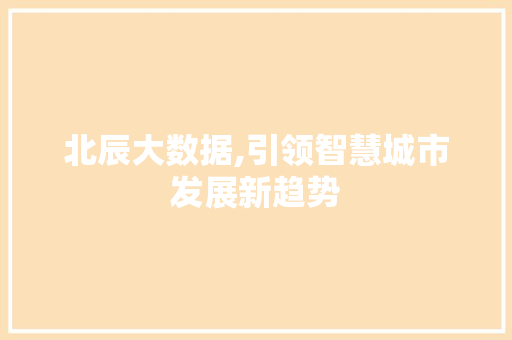 北辰大数据,引领智慧城市发展新趋势