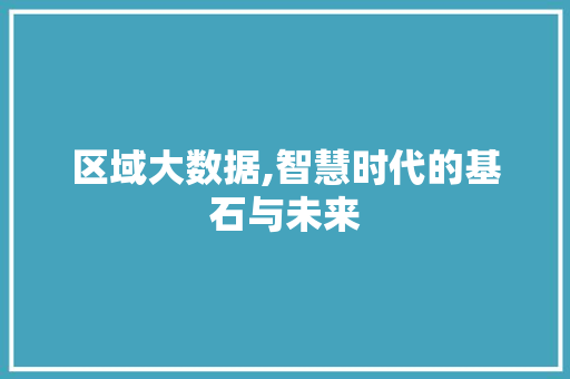 区域大数据,智慧时代的基石与未来 搜狗SEO