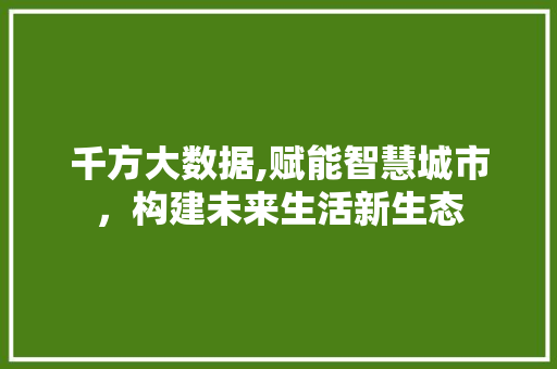 千方大数据,赋能智慧城市，构建未来生活新生态 必应SEO