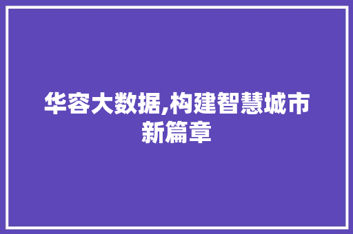 华容大数据,构建智慧城市新篇章 神马SEO