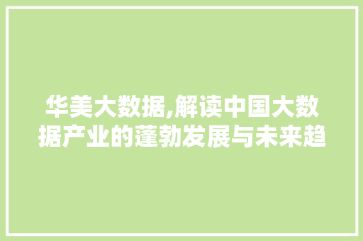 华美大数据,解读中国大数据产业的蓬勃发展与未来趋势 搜狗SEO
