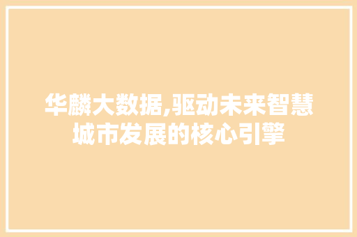 华麟大数据,驱动未来智慧城市发展的核心引擎 GoogleSEO