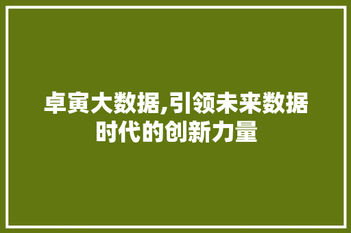 卓寅大数据,引领未来数据时代的创新力量 GoogleSEO