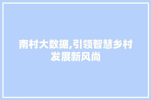 南村大数据,引领智慧乡村发展新风尚 百度SEO