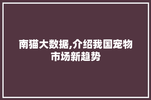 南猫大数据,介绍我国宠物市场新趋势 GoogleSEO