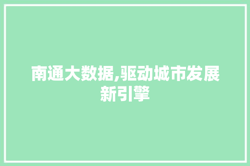 南通大数据,驱动城市发展新引擎 百度SEO