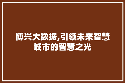 博兴大数据,引领未来智慧城市的智慧之光 搜狗SEO