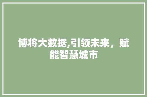 博将大数据,引领未来，赋能智慧城市 神马SEO