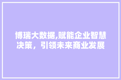 博瑞大数据,赋能企业智慧决策，引领未来商业发展 GoogleSEO