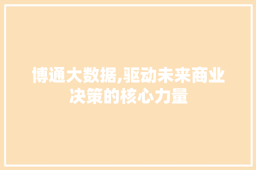 博通大数据,驱动未来商业决策的核心力量 必应SEO
