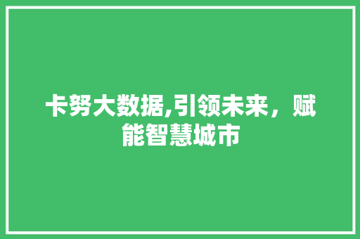 卡努大数据,引领未来，赋能智慧城市 百度SEO