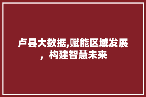 卢县大数据,赋能区域发展，构建智慧未来 神马SEO