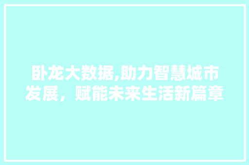 卧龙大数据,助力智慧城市发展，赋能未来生活新篇章 必应SEO