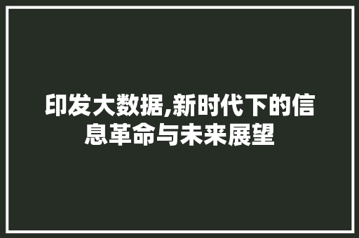 印发大数据,新时代下的信息革命与未来展望 神马SEO
