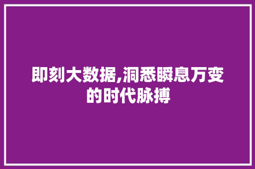 即刻大数据,洞悉瞬息万变的时代脉搏 必应SEO