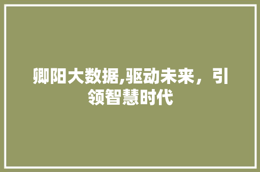 卿阳大数据,驱动未来，引领智慧时代 神马SEO