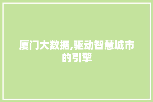 厦门大数据,驱动智慧城市的引擎 百度SEO