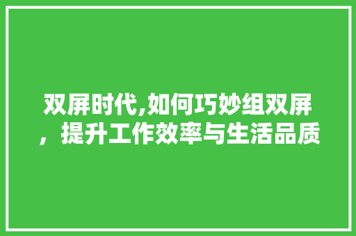 双屏时代,如何巧妙组双屏，提升工作效率与生活品质 必应SEO