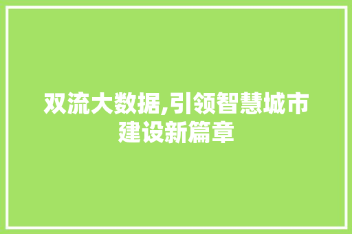 双流大数据,引领智慧城市建设新篇章 GoogleSEO