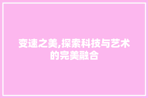 变速之美,探索科技与艺术的完美融合 神马SEO