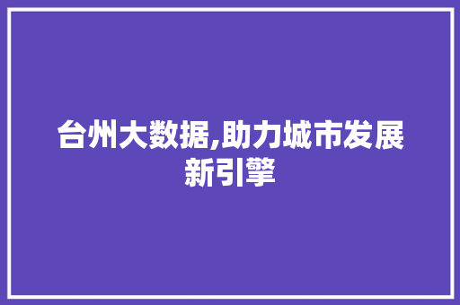 台州大数据,助力城市发展新引擎 GoogleSEO