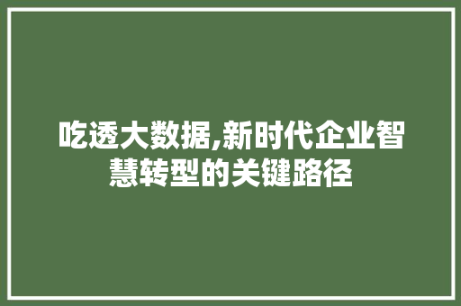 吃透大数据,新时代企业智慧转型的关键路径