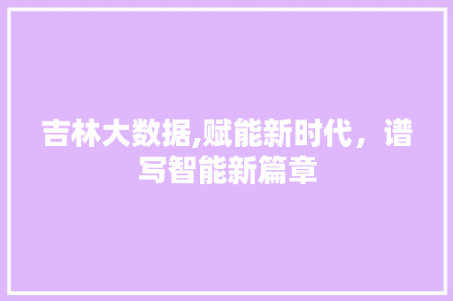 吉林大数据,赋能新时代，谱写智能新篇章