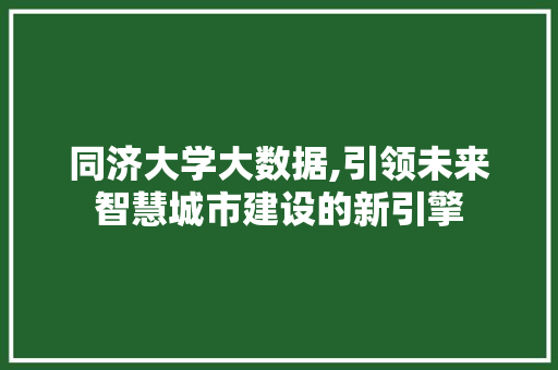 同济大学大数据,引领未来智慧城市建设的新引擎