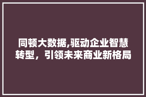 同顿大数据,驱动企业智慧转型，引领未来商业新格局