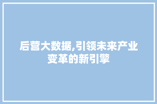 后营大数据,引领未来产业变革的新引擎