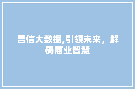 吕信大数据,引领未来，解码商业智慧