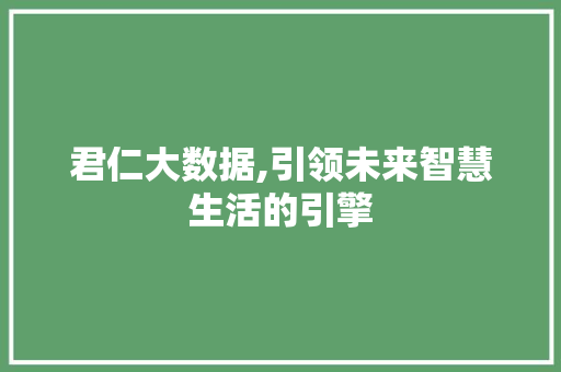 君仁大数据,引领未来智慧生活的引擎