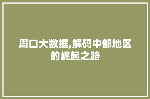 周口大数据,解码中部地区的崛起之路
