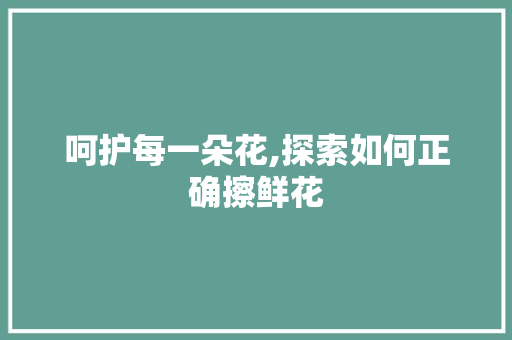 呵护每一朵花,探索如何正确擦鲜花 必应SEO