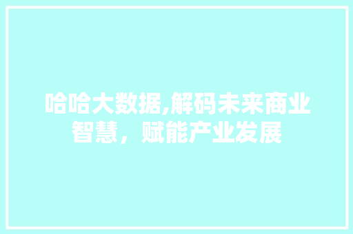 哈哈大数据,解码未来商业智慧，赋能产业发展