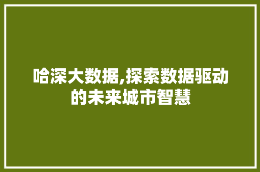 哈深大数据,探索数据驱动的未来城市智慧 GoogleSEO