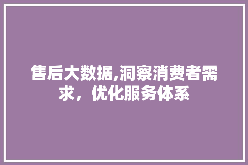 售后大数据,洞察消费者需求，优化服务体系
