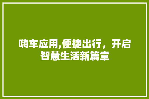 嗨车应用,便捷出行，开启智慧生活新篇章