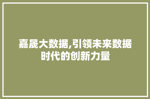 嘉晟大数据,引领未来数据时代的创新力量