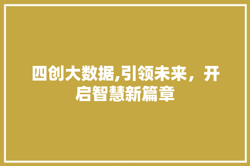 四创大数据,引领未来，开启智慧新篇章