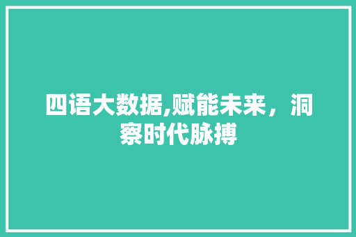 四语大数据,赋能未来，洞察时代脉搏
