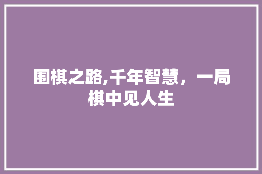 围棋之路,千年智慧，一局棋中见人生