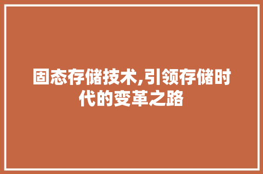固态存储技术,引领存储时代的变革之路