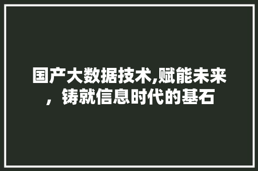 国产大数据技术,赋能未来，铸就信息时代的基石 GoogleSEO